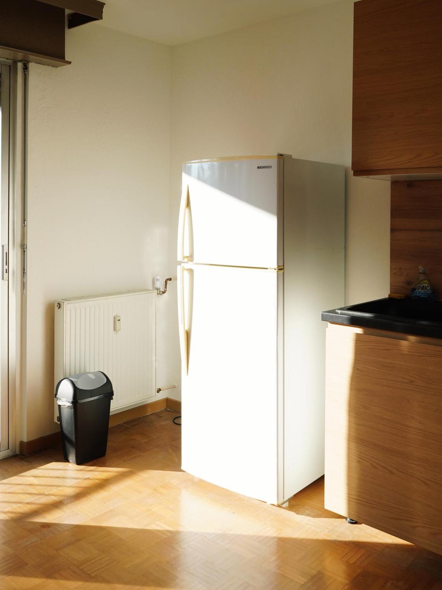 Apartement Saint Louis Train Station- Euroairport- Basel Экстерьер фото